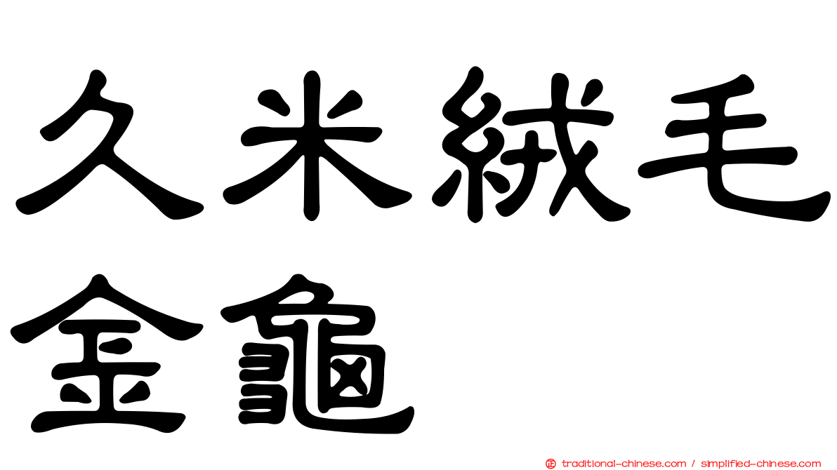 久米絨毛金龜