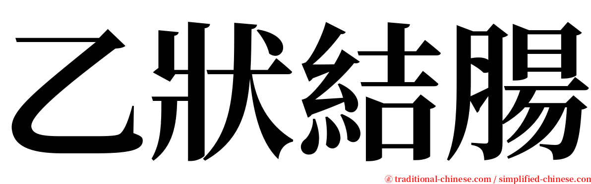 乙狀結腸 serif font