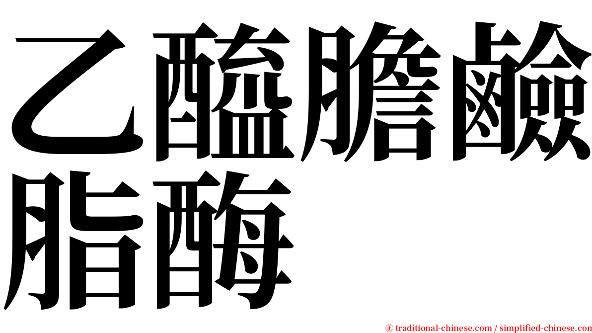 乙醯膽鹼脂酶 serif font