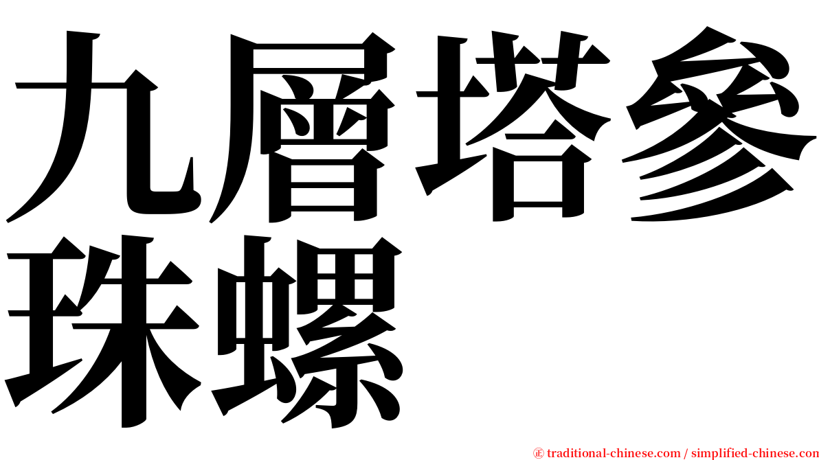 九層塔參珠螺 serif font