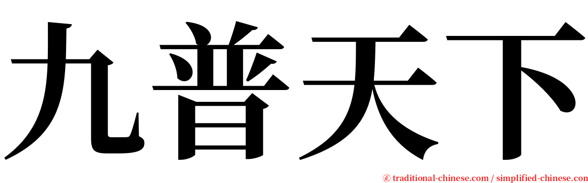 九普天下 serif font