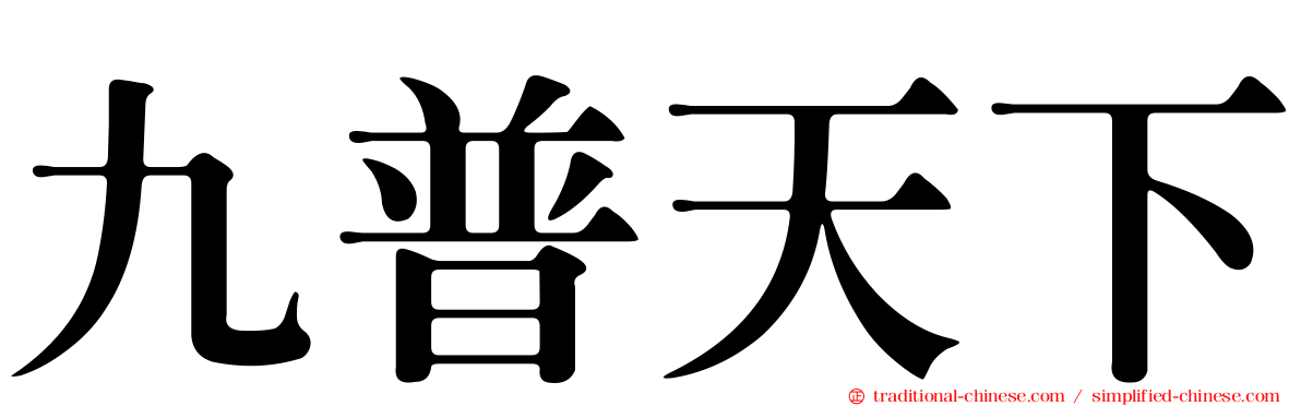 九普天下