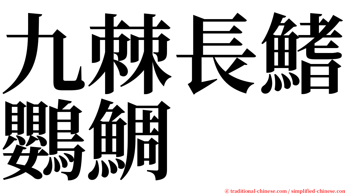 九棘長鰭鸚鯛 serif font