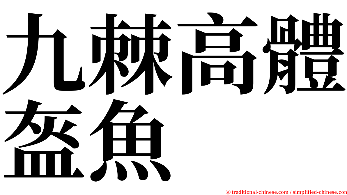 九棘高體盔魚 serif font