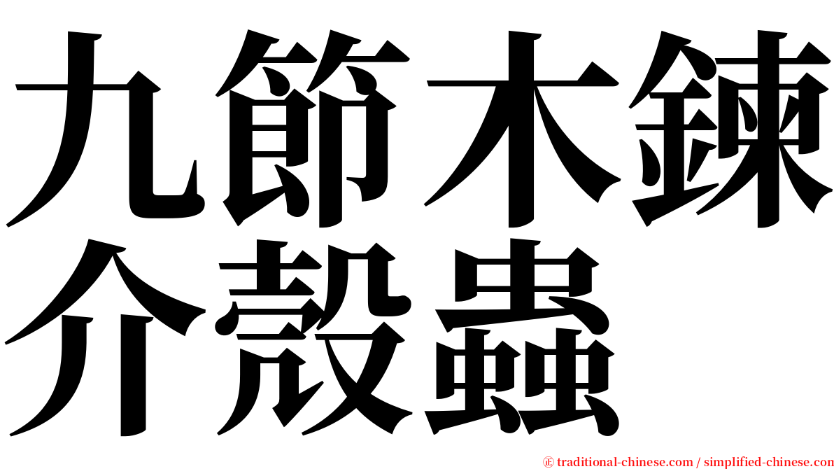 九節木鍊介殼蟲 serif font