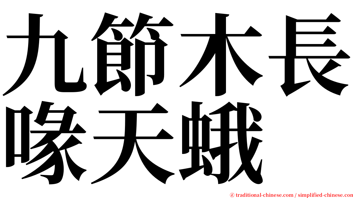 九節木長喙天蛾 serif font