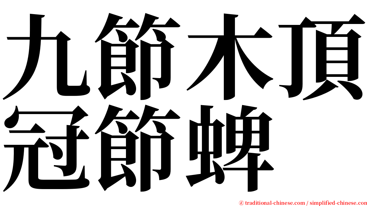 九節木頂冠節蜱 serif font