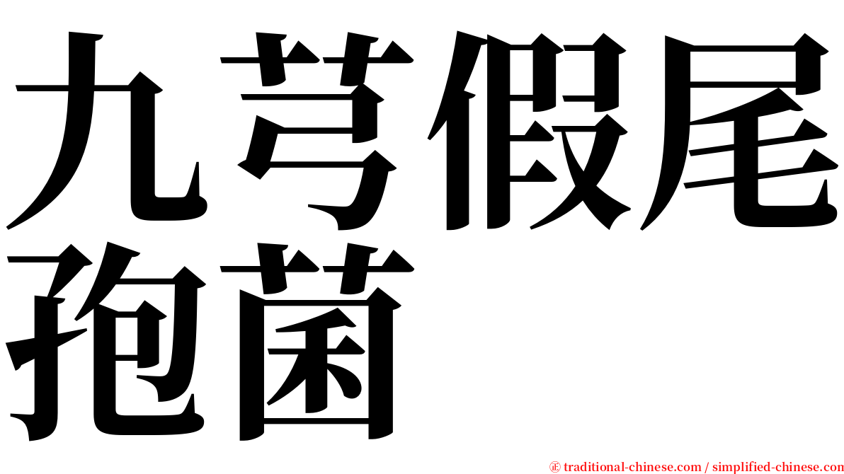 九芎假尾孢菌 serif font