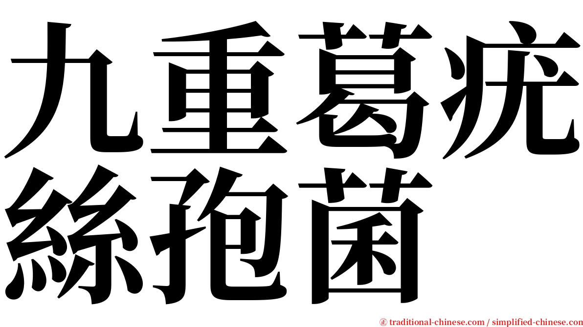 九重葛疣絲孢菌 serif font