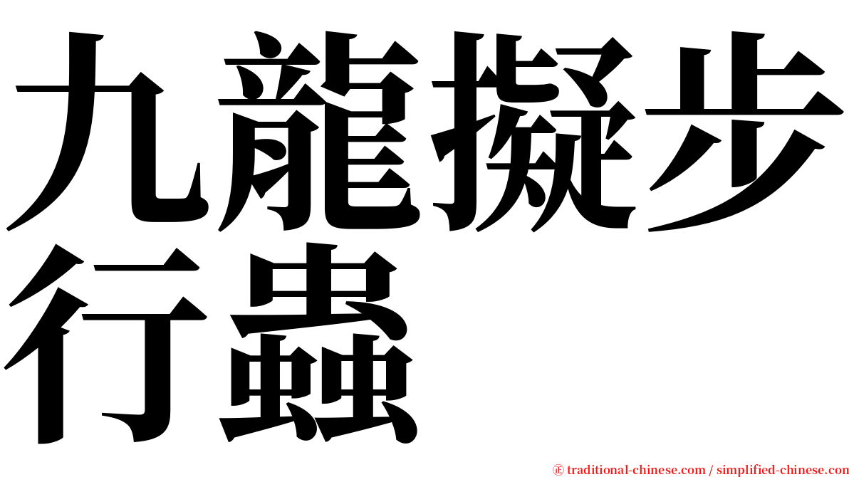 九龍擬步行蟲 serif font