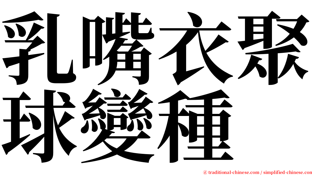 乳嘴衣聚球變種 serif font