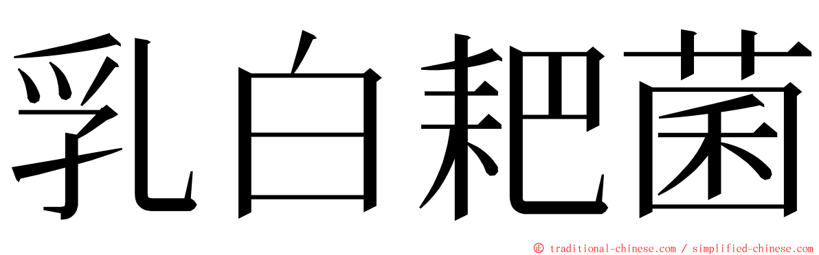 乳白耙菌 ming font