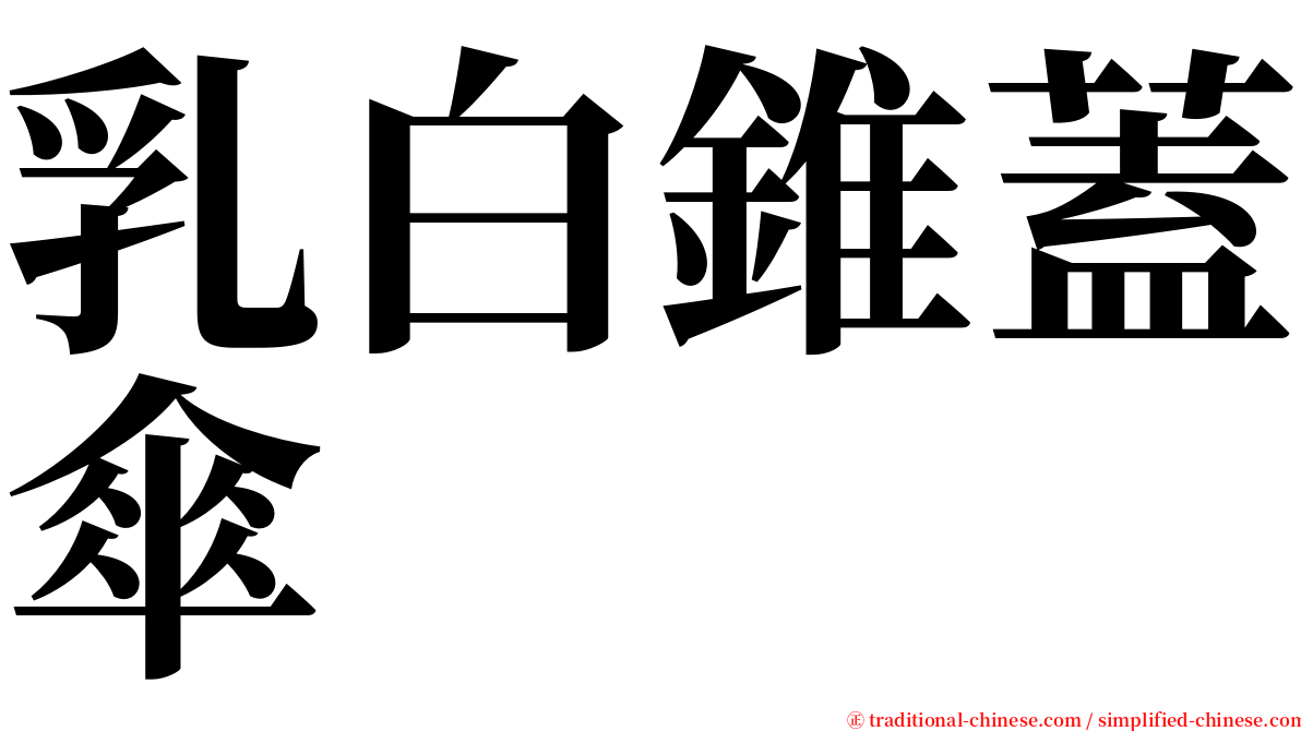 乳白錐蓋傘 serif font