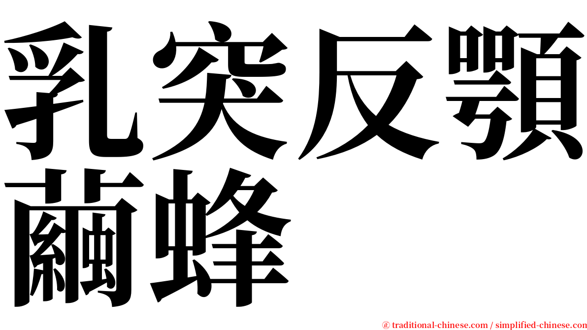 乳突反顎繭蜂 serif font