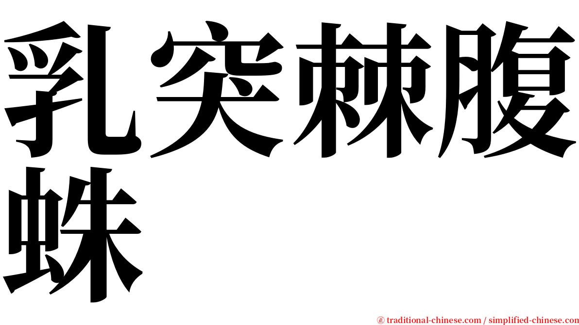 乳突棘腹蛛 serif font