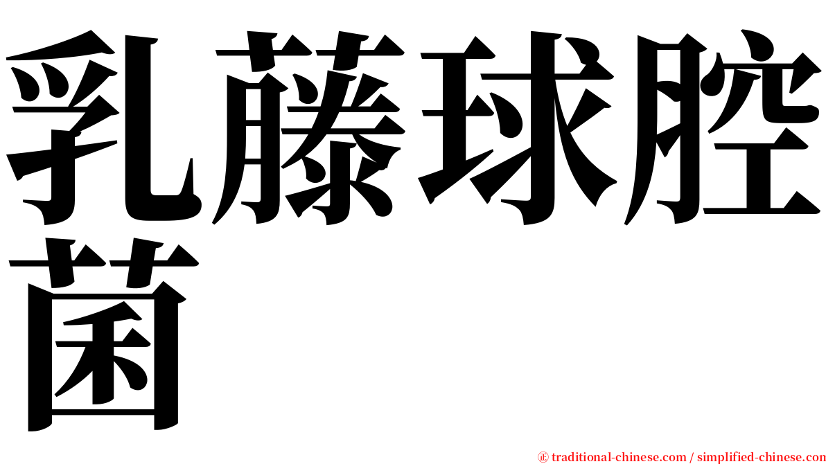 乳藤球腔菌 serif font