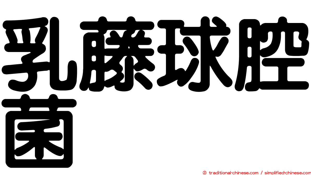 乳藤球腔菌