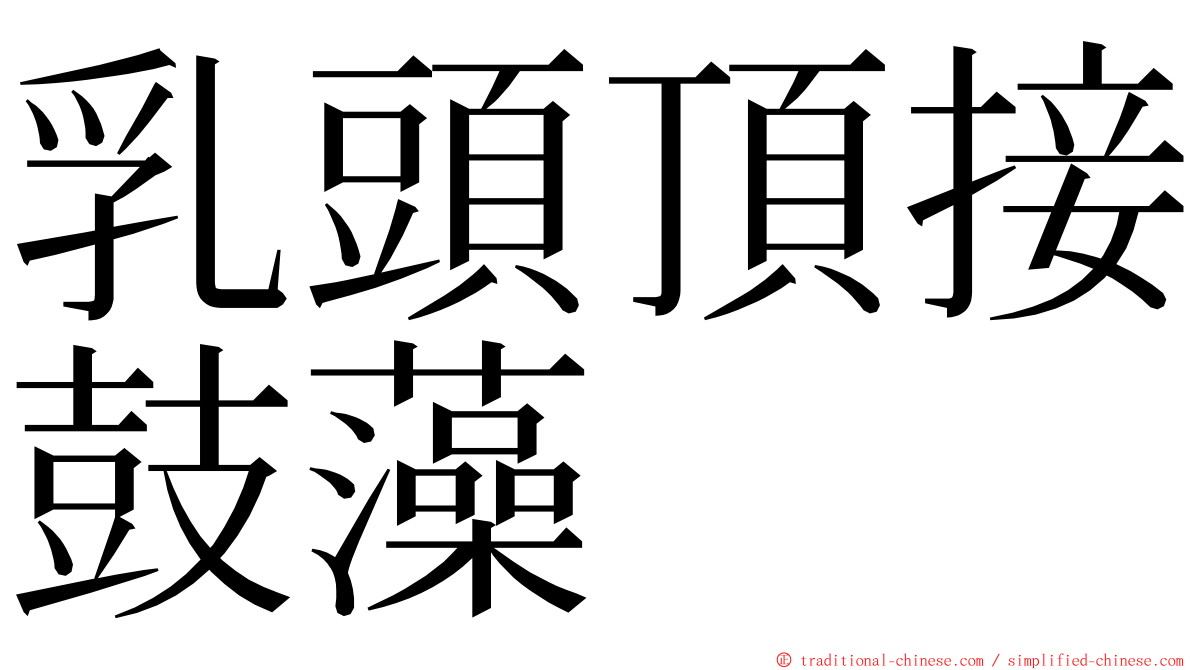 乳頭頂接鼓藻 ming font