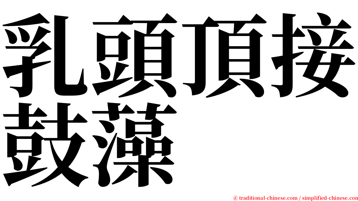 乳頭頂接鼓藻 serif font