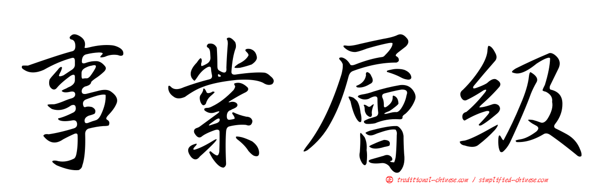 事業層級