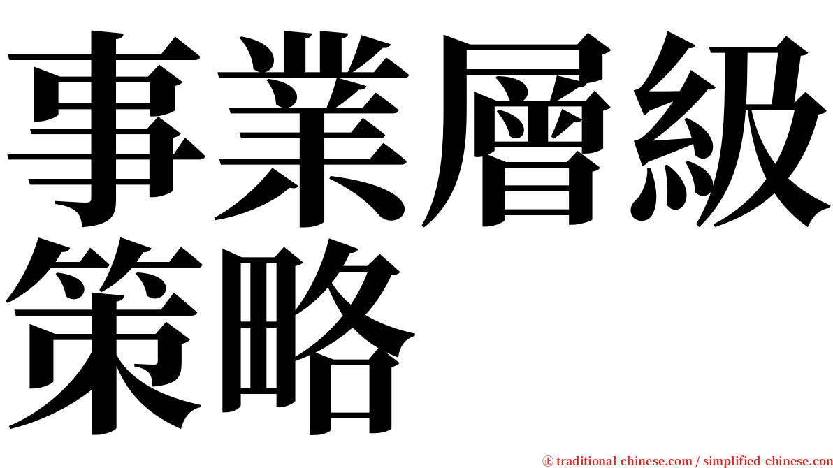 事業層級策略 serif font