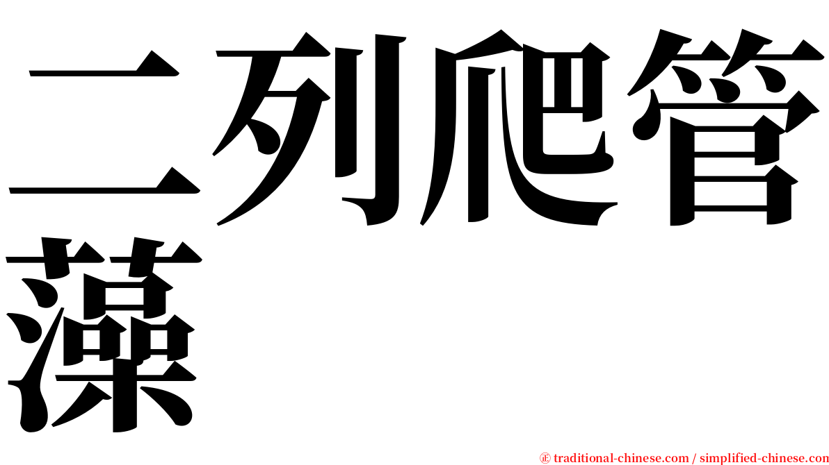 二列爬管藻 serif font