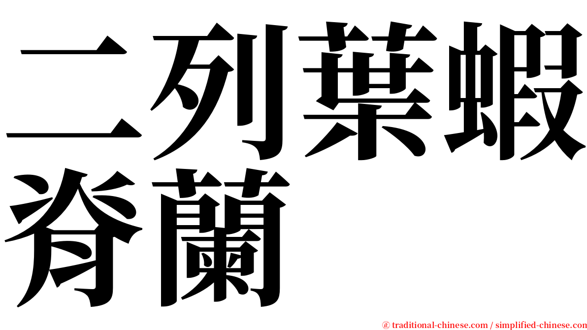 二列葉蝦脊蘭 serif font