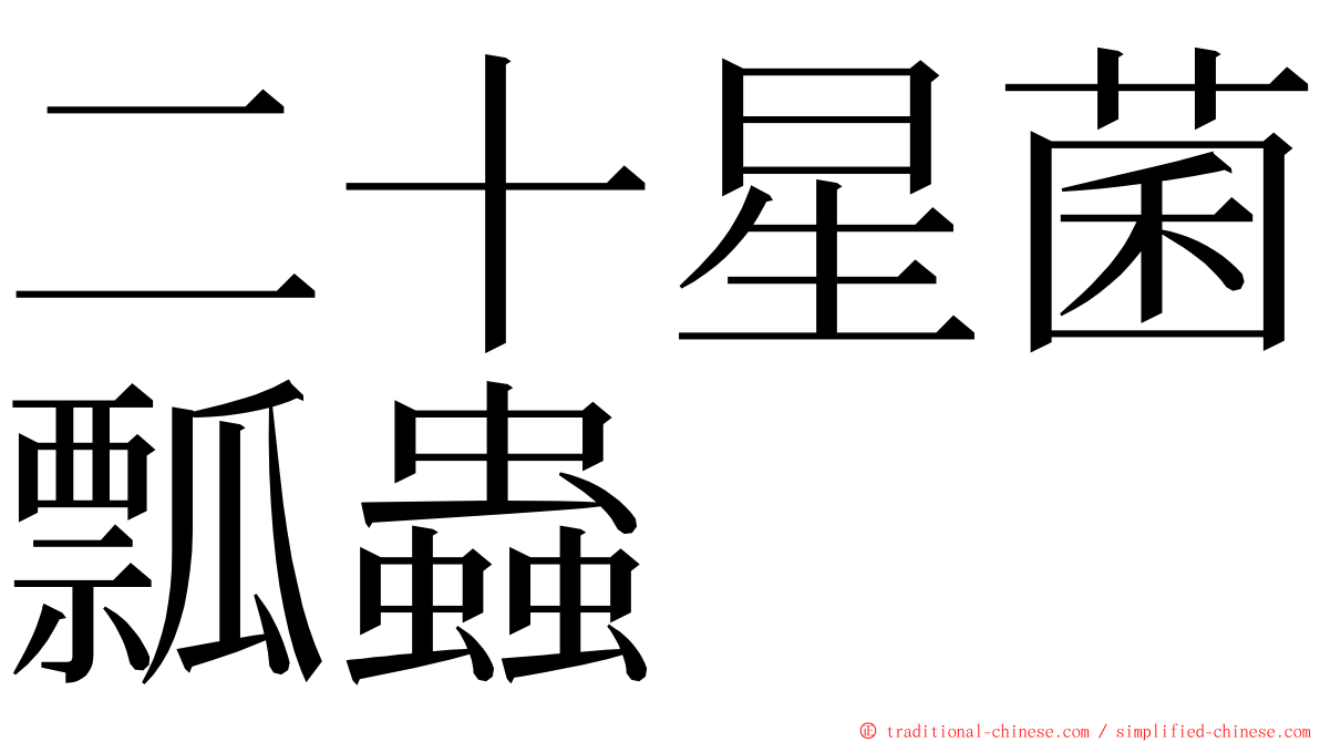 二十星菌瓢蟲 ming font