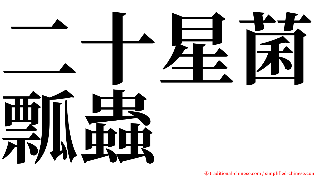 二十星菌瓢蟲 serif font