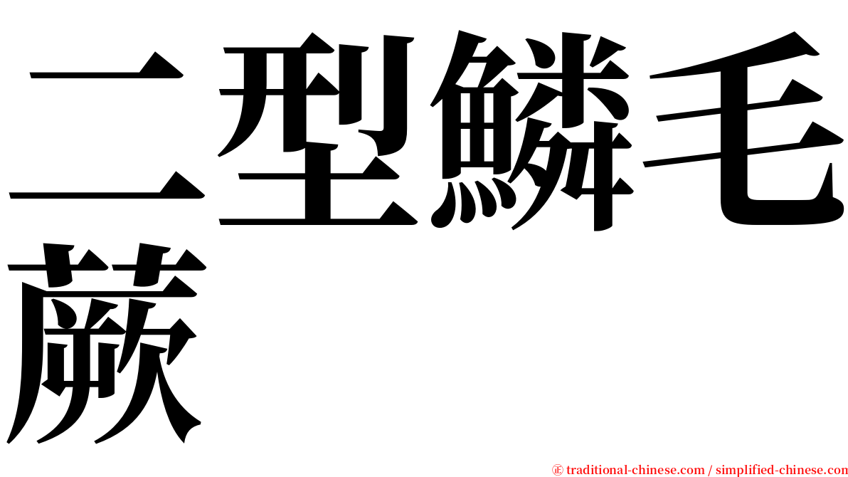 二型鱗毛蕨 serif font