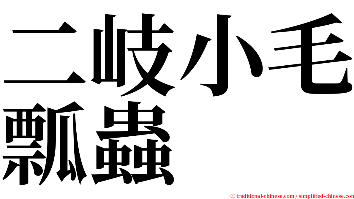 二岐小毛瓢蟲 serif font