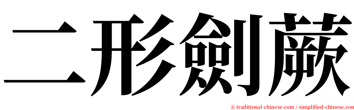 二形劍蕨 serif font