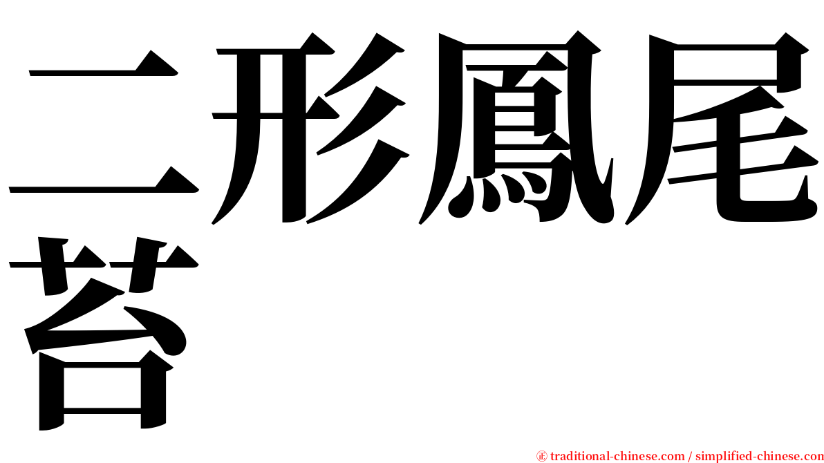 二形鳳尾苔 serif font