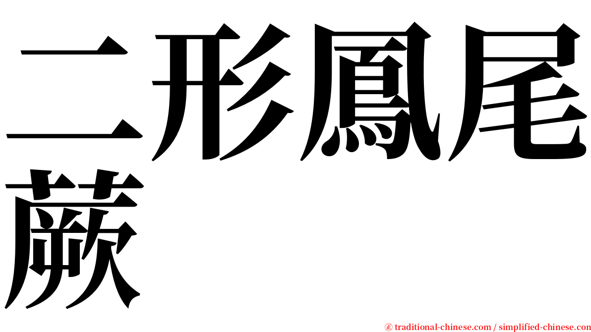 二形鳳尾蕨 serif font