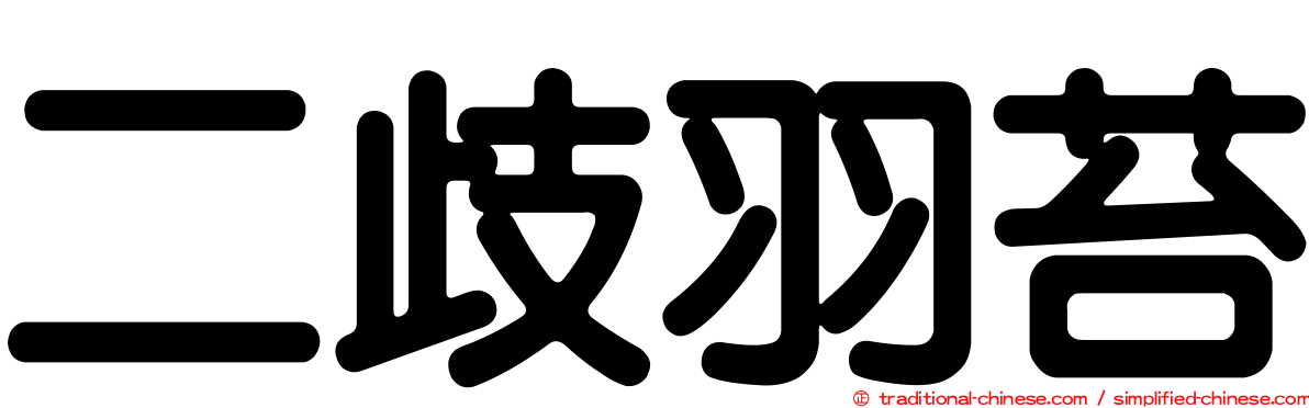 二歧羽苔