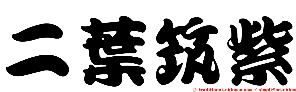 二葉筑紫