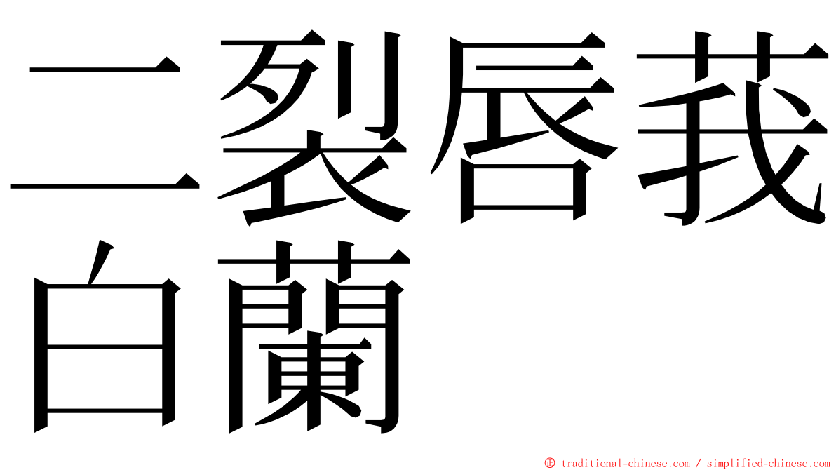 二裂唇莪白蘭 ming font