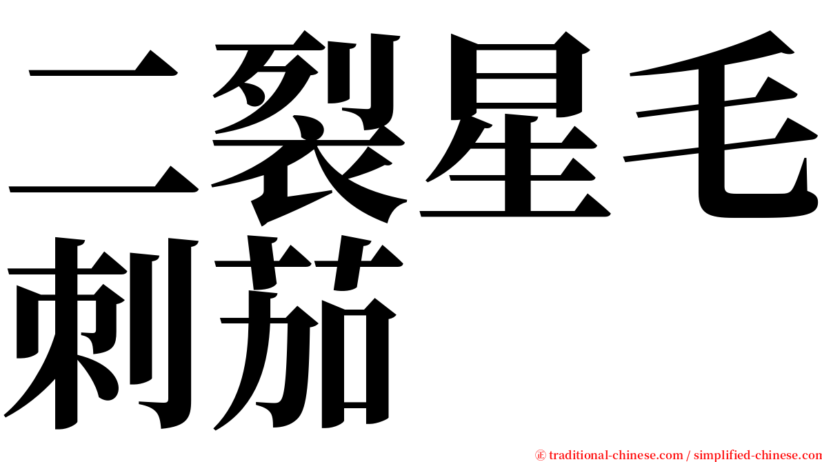 二裂星毛刺茄 serif font