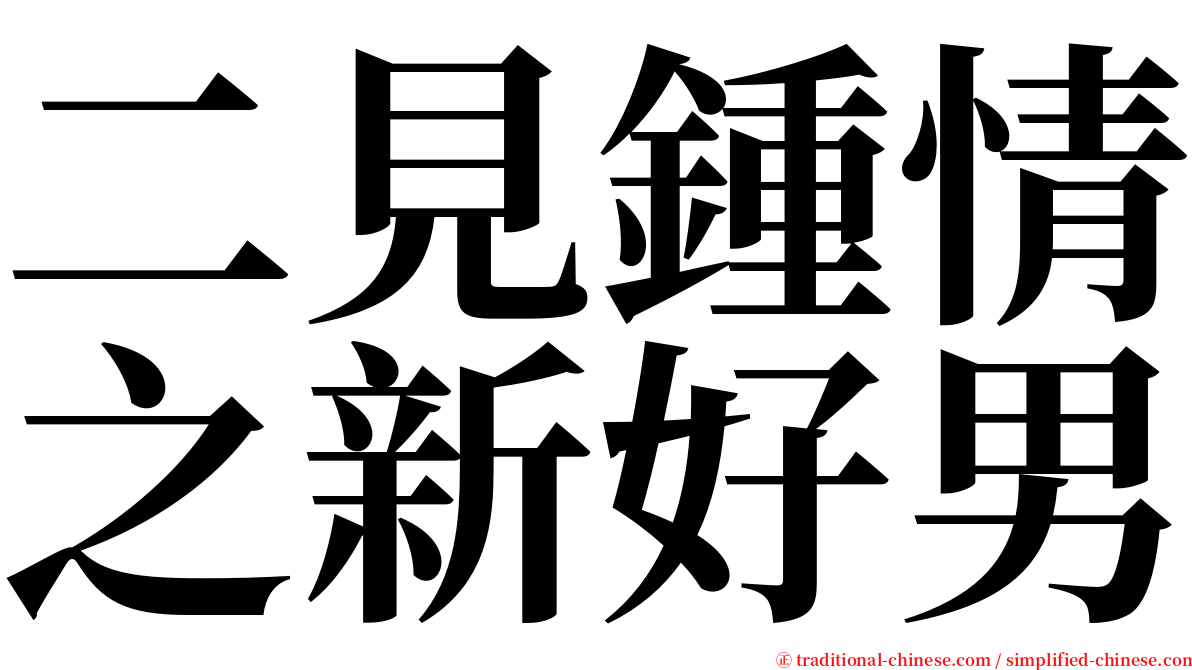 二見鍾情之新好男 serif font