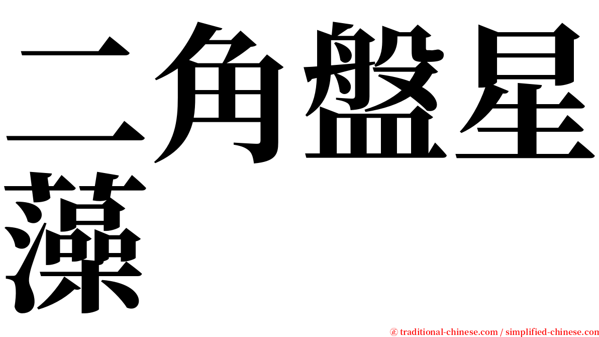 二角盤星藻 serif font