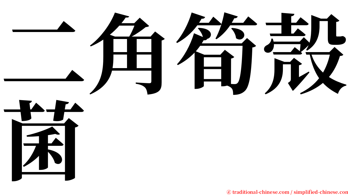 二角筍殼菌 serif font