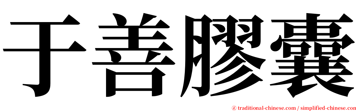 于善膠囊 serif font