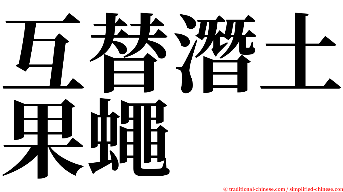 互替潛土果蠅 serif font