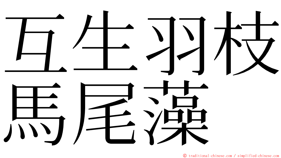 互生羽枝馬尾藻 ming font