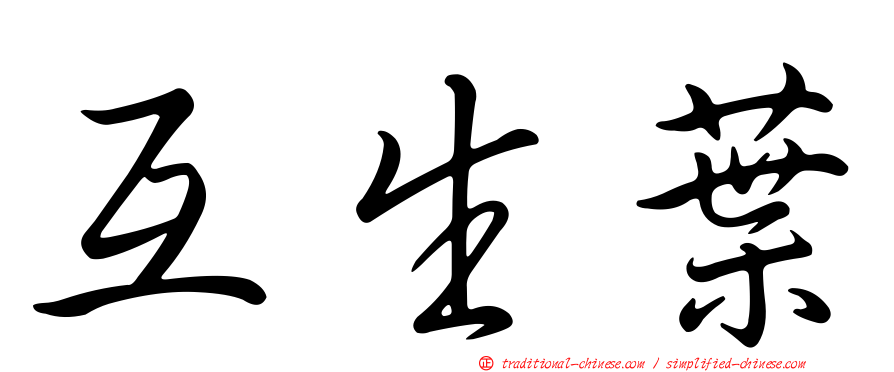 互生葉