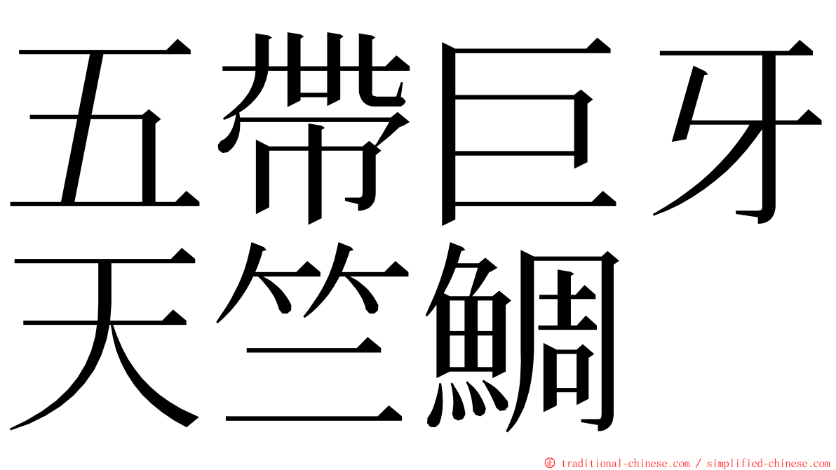 五帶巨牙天竺鯛 ming font