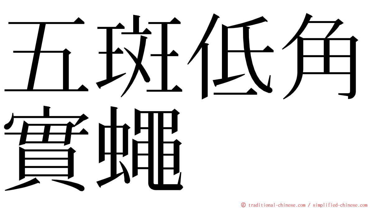 五斑低角實蠅 ming font