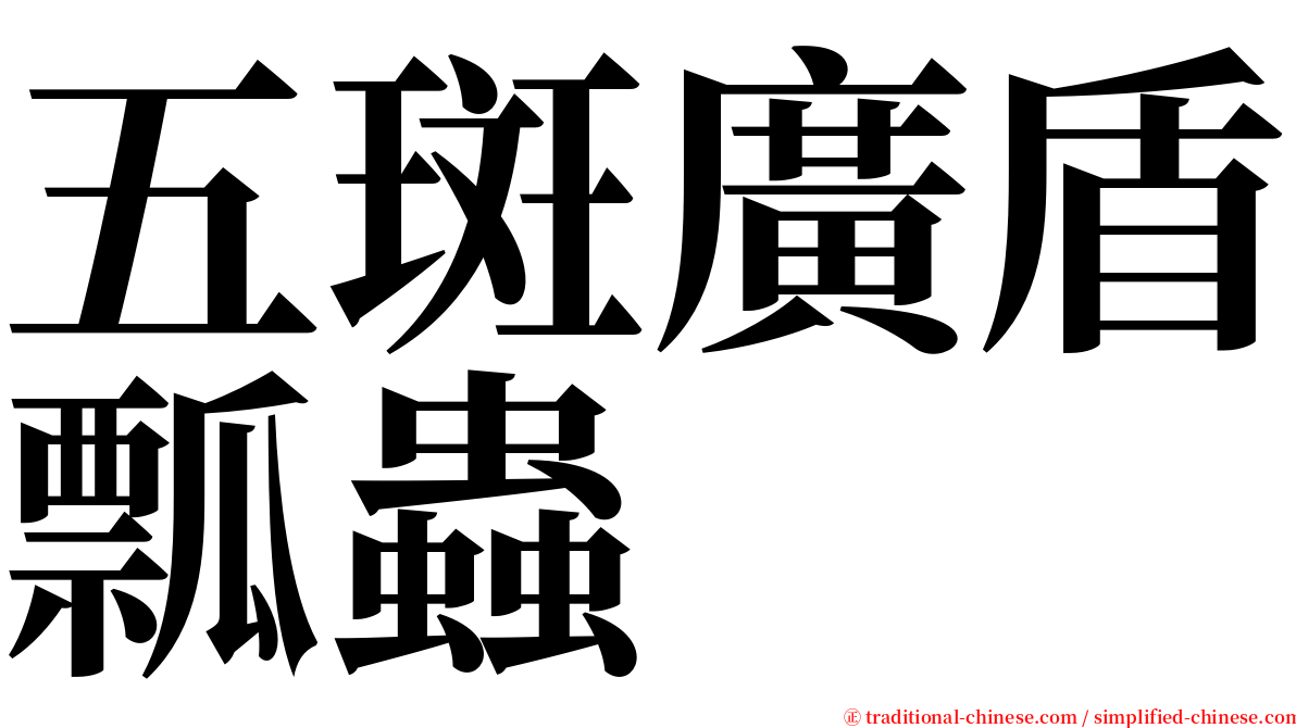 五斑廣盾瓢蟲 serif font