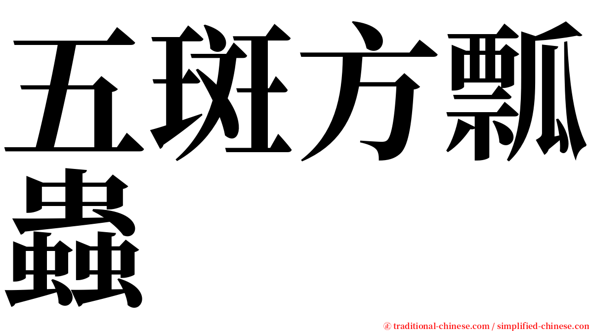 五斑方瓢蟲 serif font