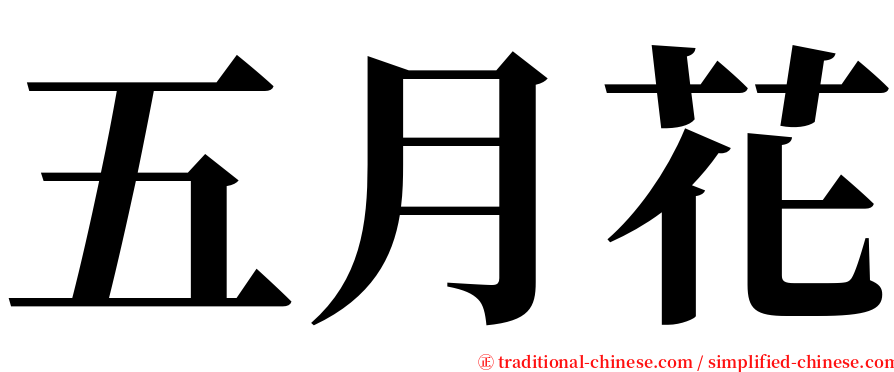 五月花 serif font